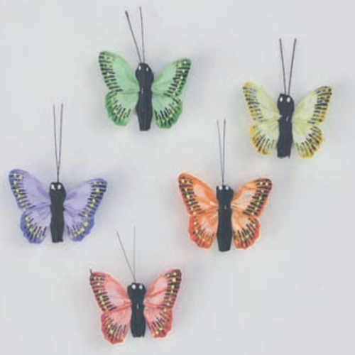 Schmetterlinge im Set